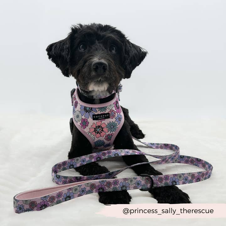 Cocopup London - Wholesale Pet Leash - Dog - Pastel Flowers Lead