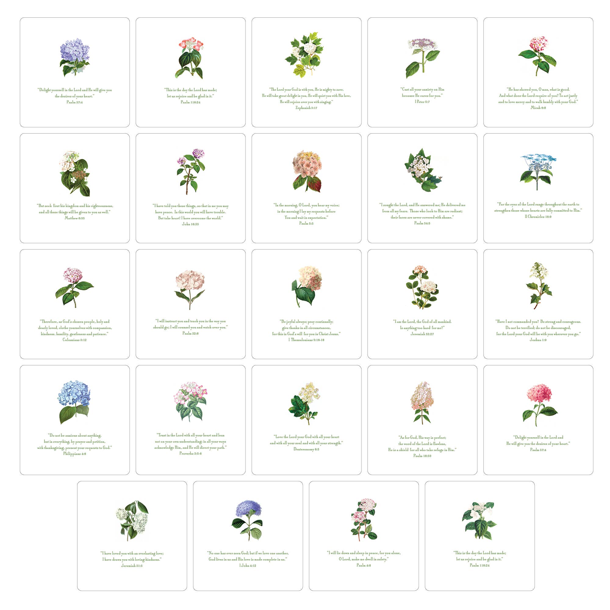 Maison de Papier - Wholesale Advent Calendar - VCO025999 Hydrangea Quote Set 5.5"7