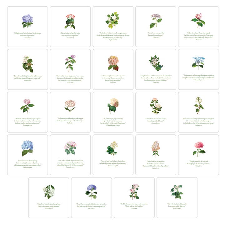 Maison de Papier - Wholesale Advent Calendar - VCO025999 Hydrangea Quote Set 5.5"7