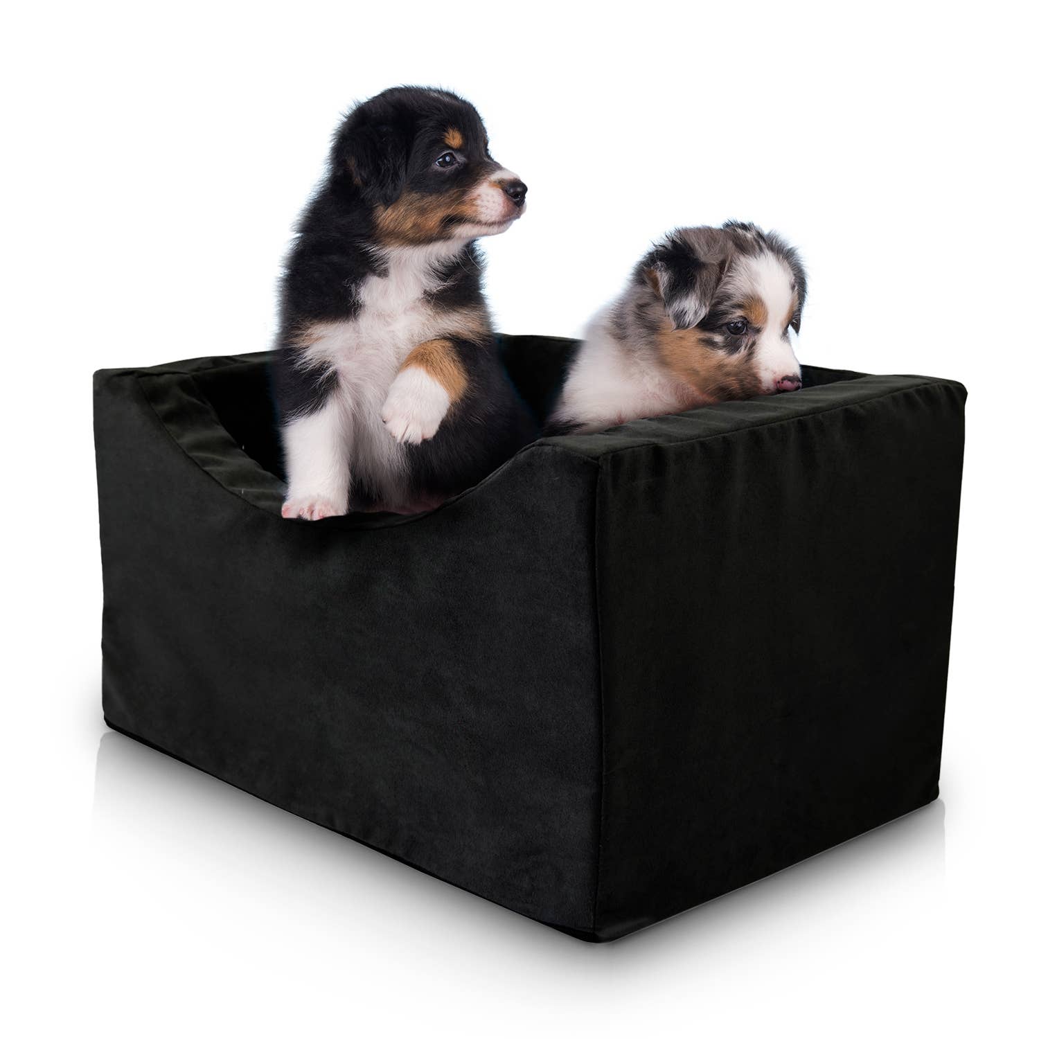 Precious Tails - Wholesale Pet Carrier - Cat/Dog - Precious Tails High Density Foam Pet Booster Seat63