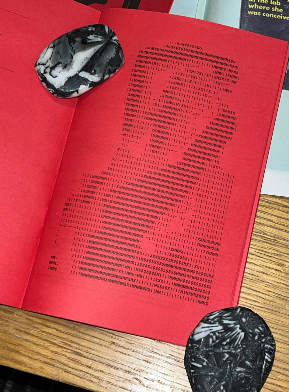 Back of Beyond Press - Wholesale Graphic Novel - X-Rated: ASC-II Art • Risograph Printed Zine 1