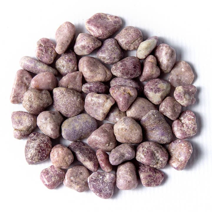 Tree of Life Gems - Wholesale Spiritual Stone/Crystal - Medium Tumbled Lepidolite5