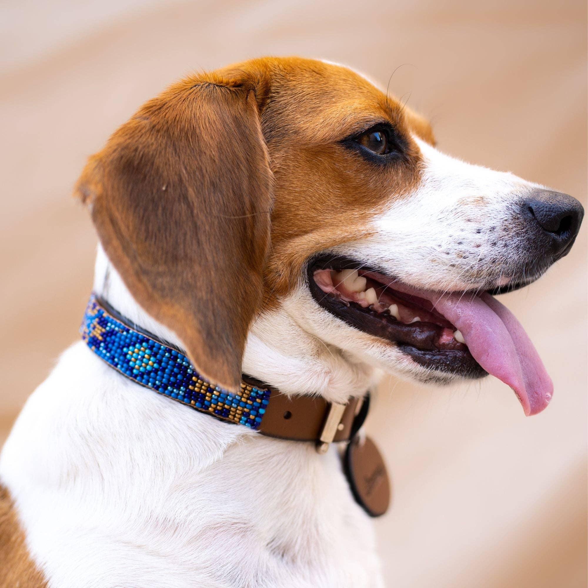 Sambboho - Wholesale Pet Collar - Dog - Maldives Sambboho Dog Collar (Glam Collection)4