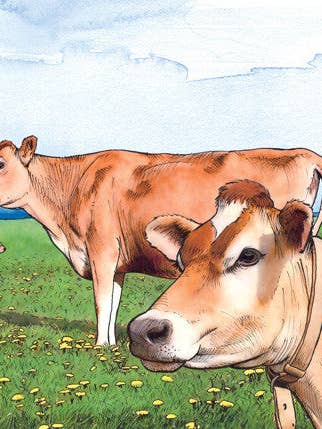 Gewoon Dandy #9 voor wholesale door Shawn Braley Illustration