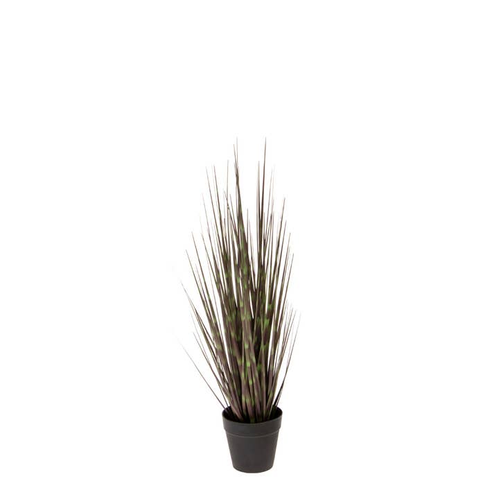Boston International - Wholesale Artificial Plant - 21" H Zebra Grass Faux Décor