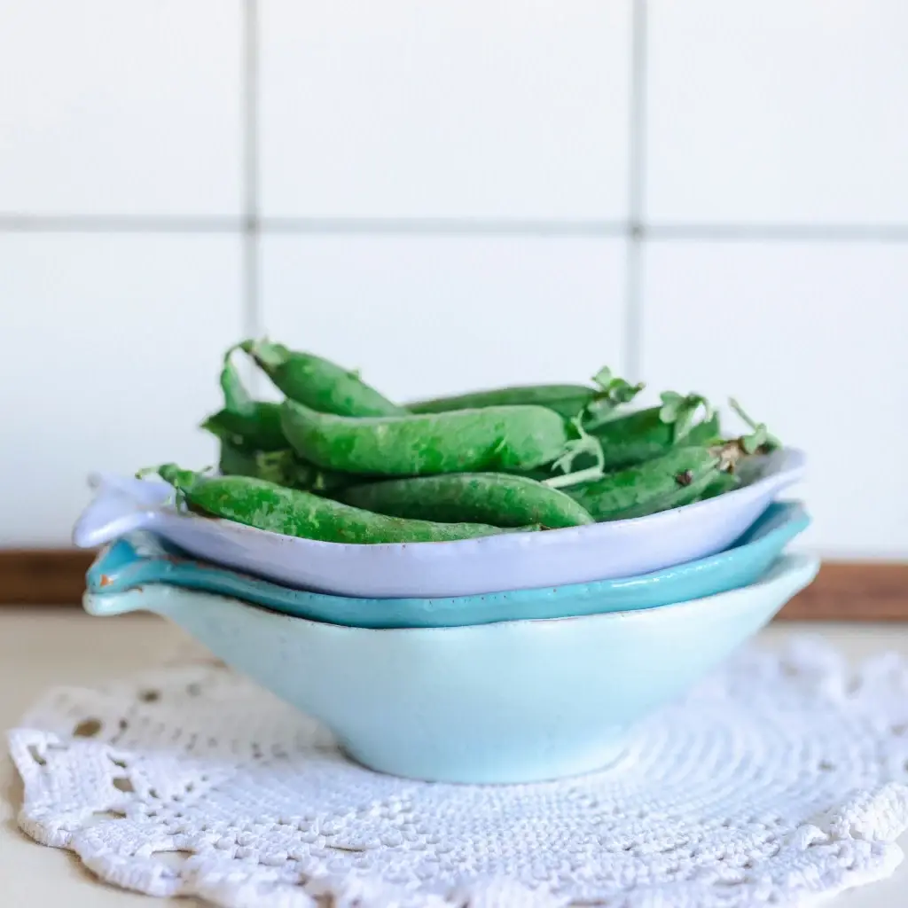 CASAgent - Wholesale Decorative Plate/Dish/Bowl - Fish Bowl Mini10