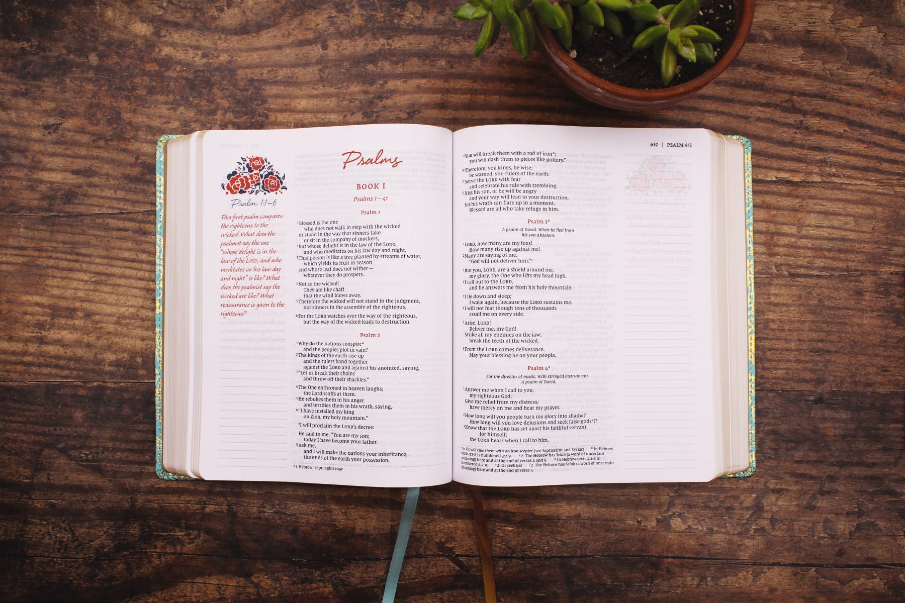 HarperCollins Christian Publishing - Wholesale Journal/Diary - NIV Journal The Word Bible For Women Leathersoft Teal/Gold8