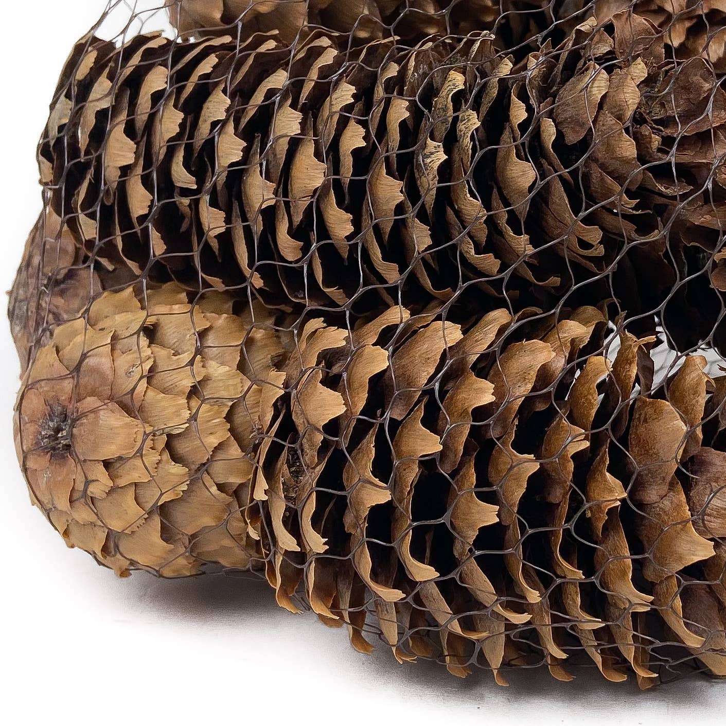Mills Floral Company - Wholesale Decorative Tabletop Object - Pine Cone Spruce Natural - 12 Pieces1