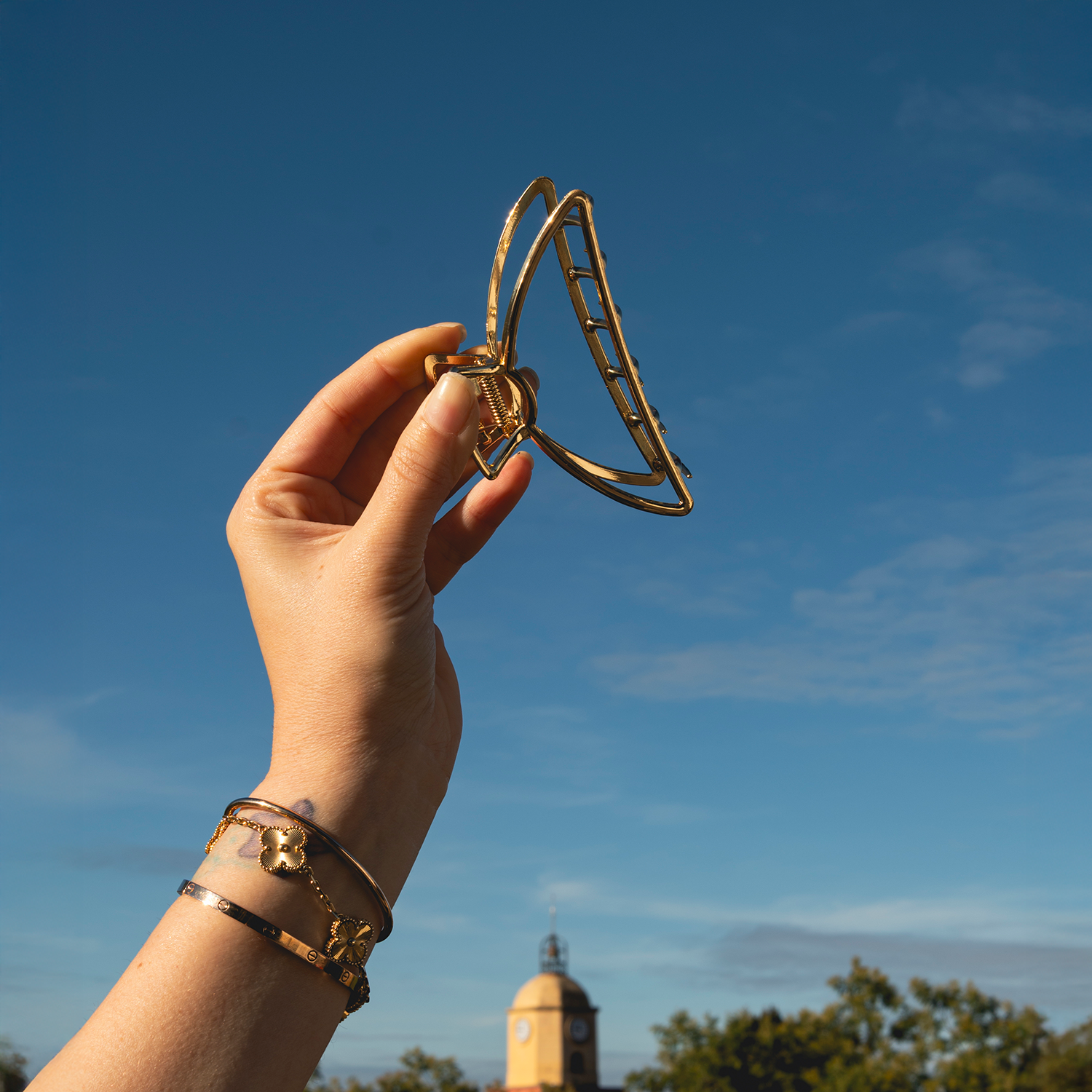 Ellie Rose - Vendita all'ingrosso Fermaglio per capelli - Donna - Clip ad artiglio oro1