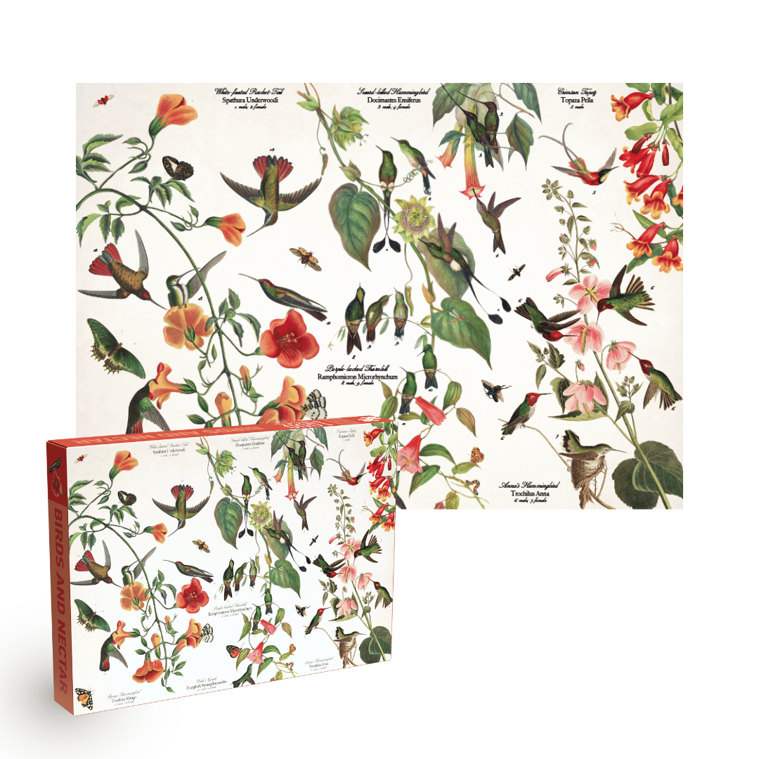 Penny Puzzle - Wholesale Puzzle - Adult - Birds and Nectar 1000 piece Vintage puzzle by Penny Puzzle1