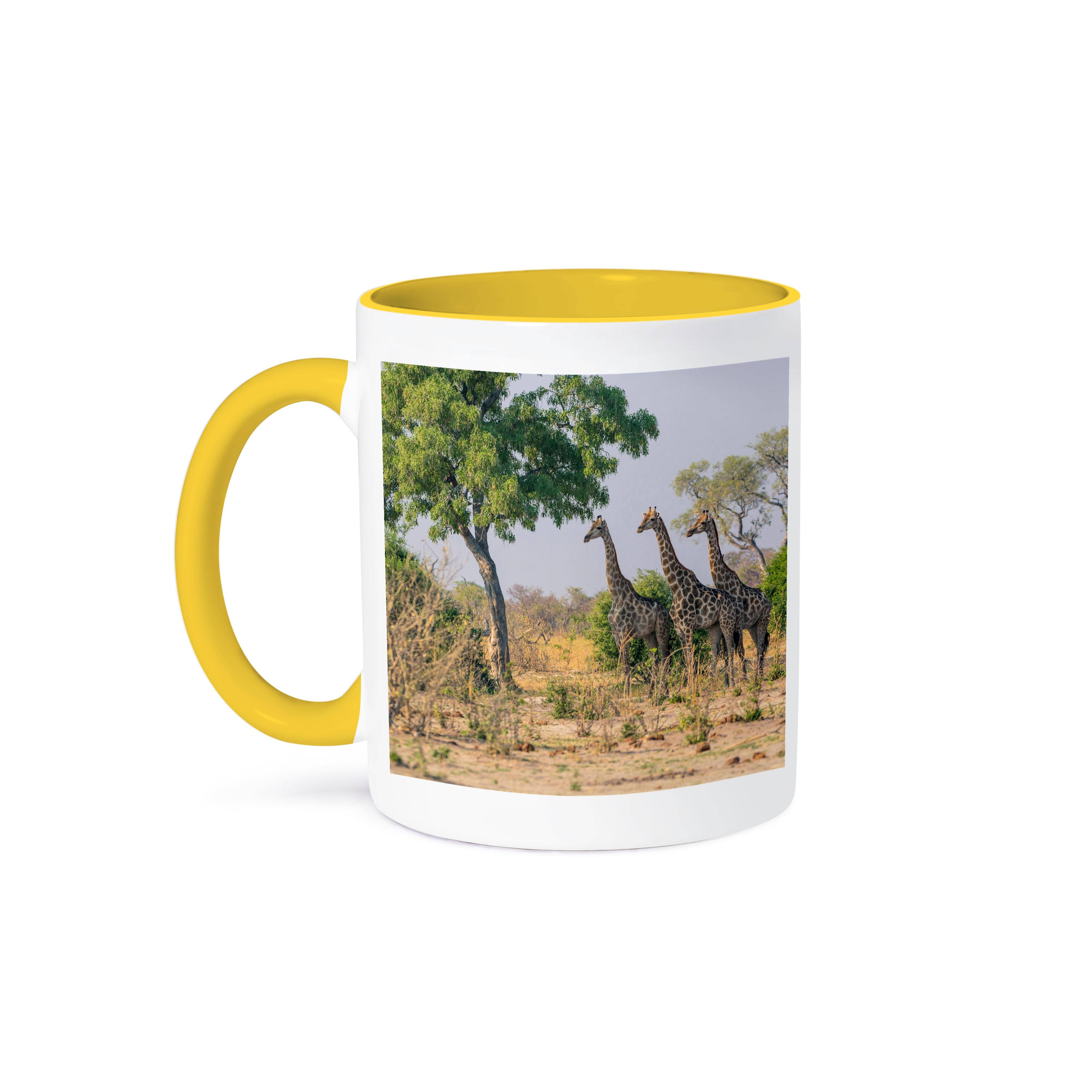 3dRose - Wholesale Coffee Mug - 3dRose, Botswana. Savuti. Giraffes watching a hidden lion., Mug0