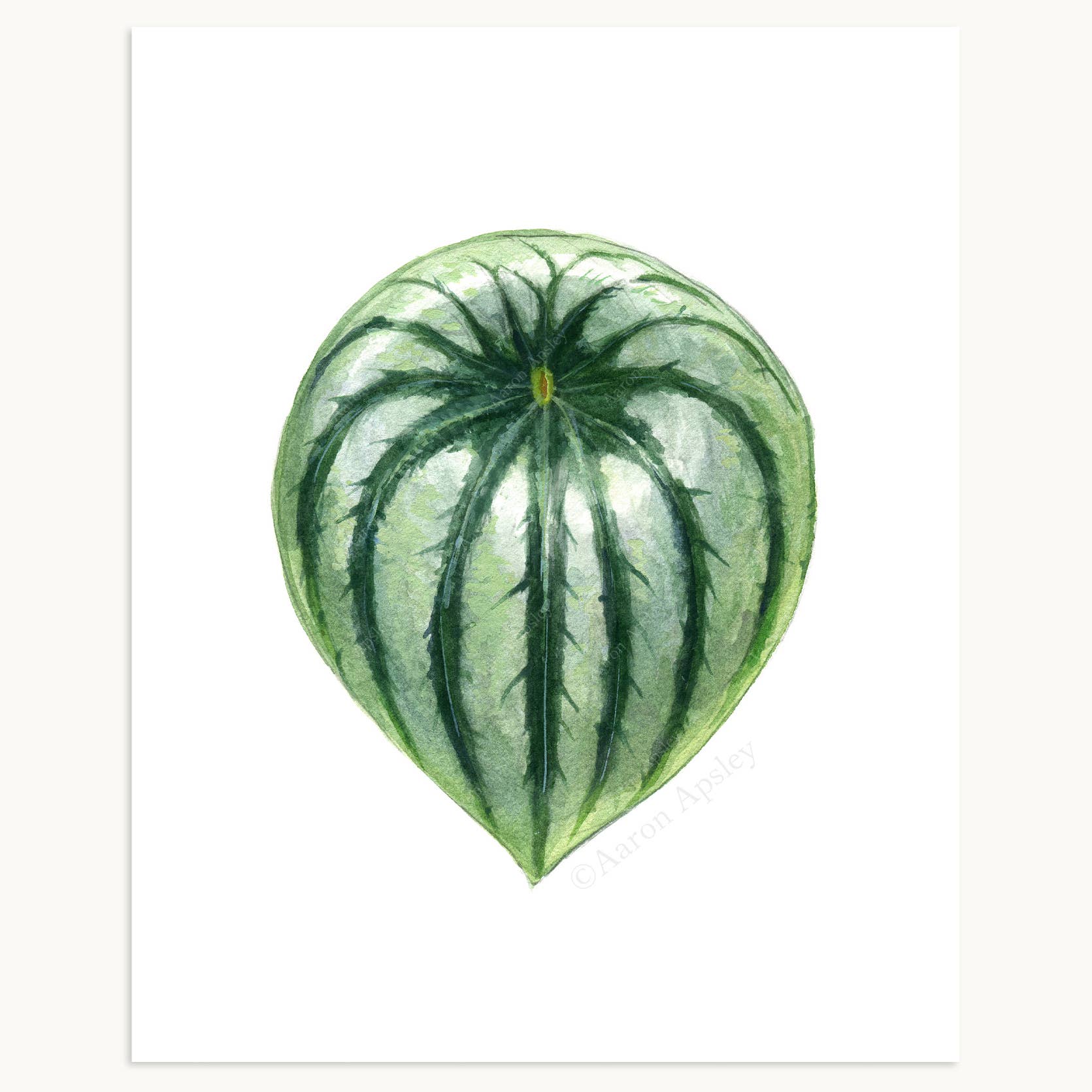 Aaron Apsley Artwork - Wholesale Art Print - Tropical Leaf Print - 8"x10"15