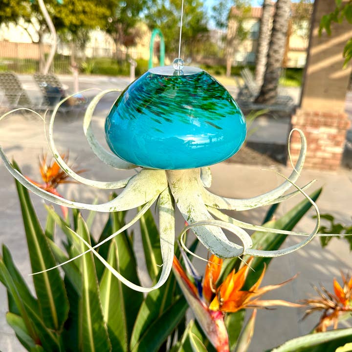 ApricotMint - Wholesale Hanging Planter - Large Hand Blown Art Glass Jellyfish Plant Holder