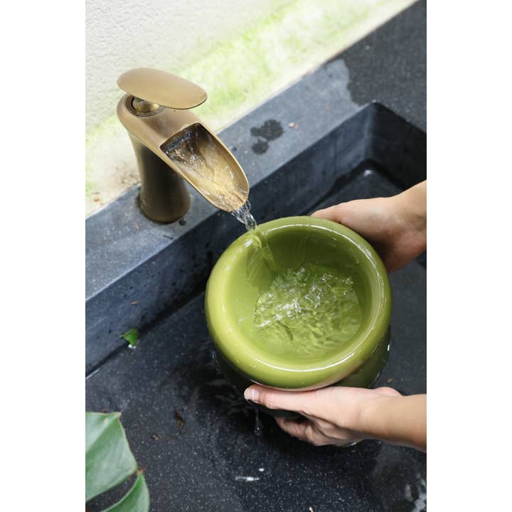 PEHOM - Wholesale Pet Bowl - Cat/Dog - Soufflé Pet Bowl - Avocado Green