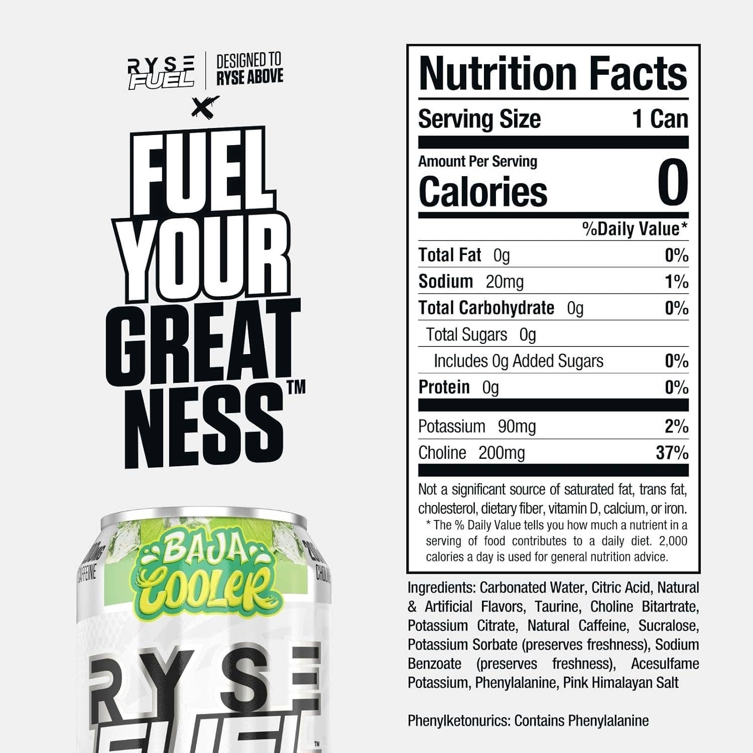 Campus Protein - Wholesale Sports/Energy Drink - RYSE Fuel Energy Drink23