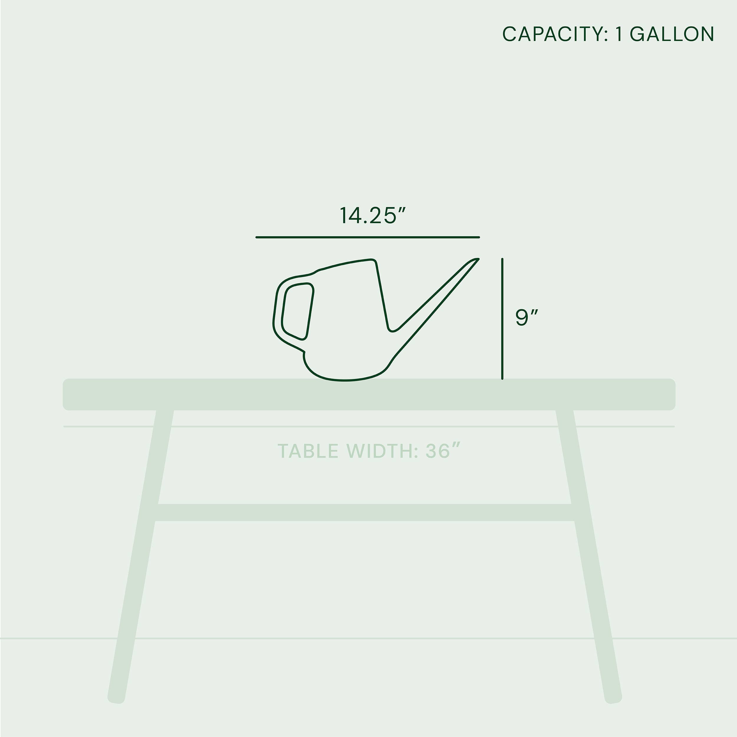 Bloem - Wholesale Watering Can - Fern 1 gal. Plastic Watering Can3