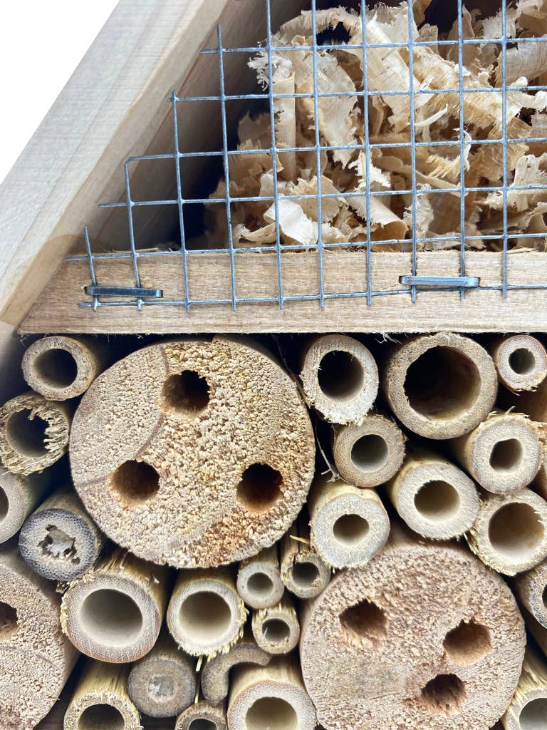 Éco-conseils – wholesale Fågelholk – Insektsboende för trädgårdens biologiska mångfald1