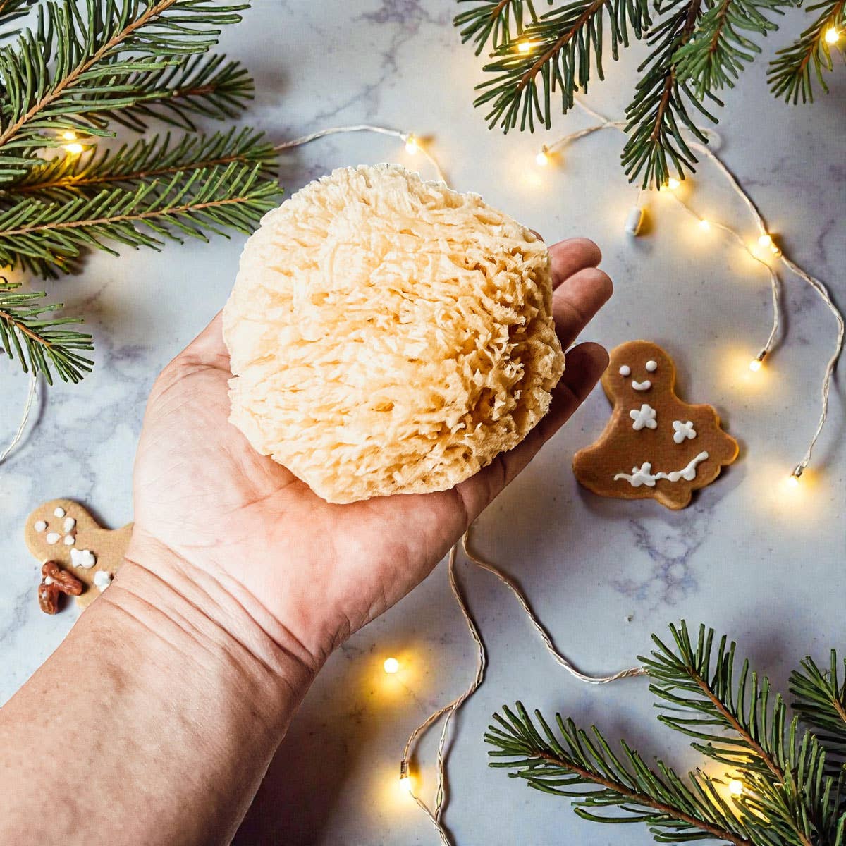 Gia Roma - Wholesale Bath Pouf/Sponge - Dead Sea Sponge, All Natural Body Wash Loofah 4-5"27