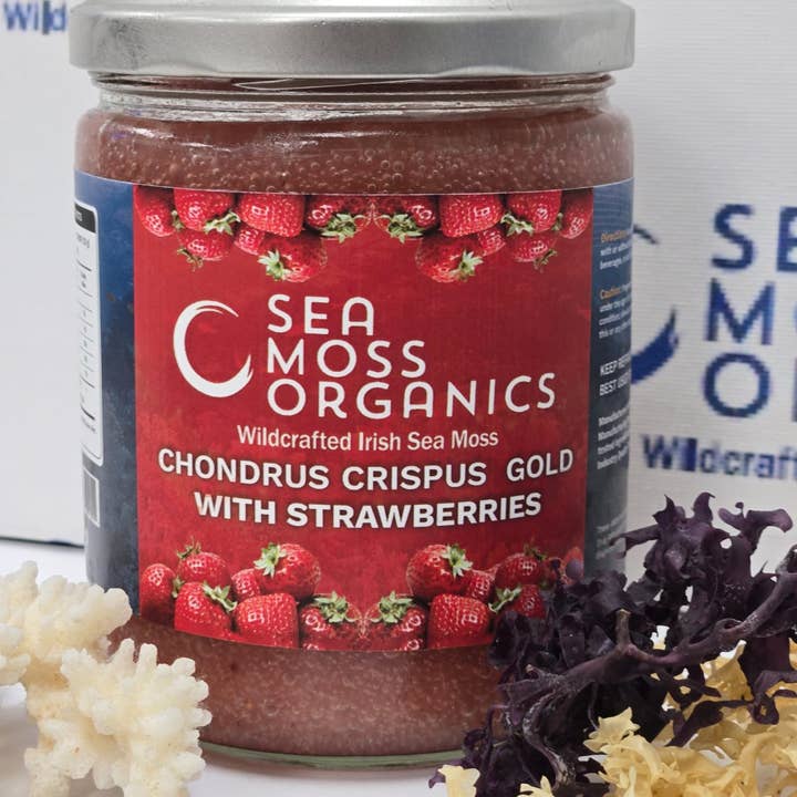 Gel de mousse de mer et fraises (Chondrus Crispus) – 16 oz et autres tendances Résultats pour automatique fruits mer en vente B2B. Retours gratuits et paiement à 60 jours sur Faire sur Faire.