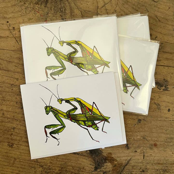 Brienne Cosman Design - Wholesale Valentine's Day Card - Sexy Praying Mantis Card
