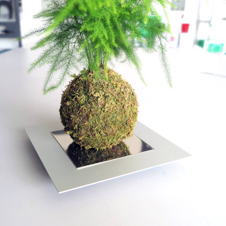 dESIGNoBJECT.it - Wholesale Decorative Tabletop Object - Design Kokedama Holder3