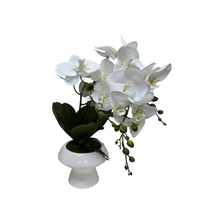 PLORCLGS for wholesale by Cubby House by Malmar