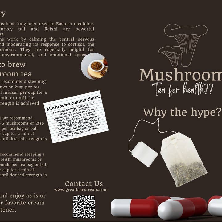 Great Lakes Treats - Wholesale Health/Detox Tea - Great Lakes Treats Michigan Wild Harvested Chaga, 15 Convenient Tea Bags2