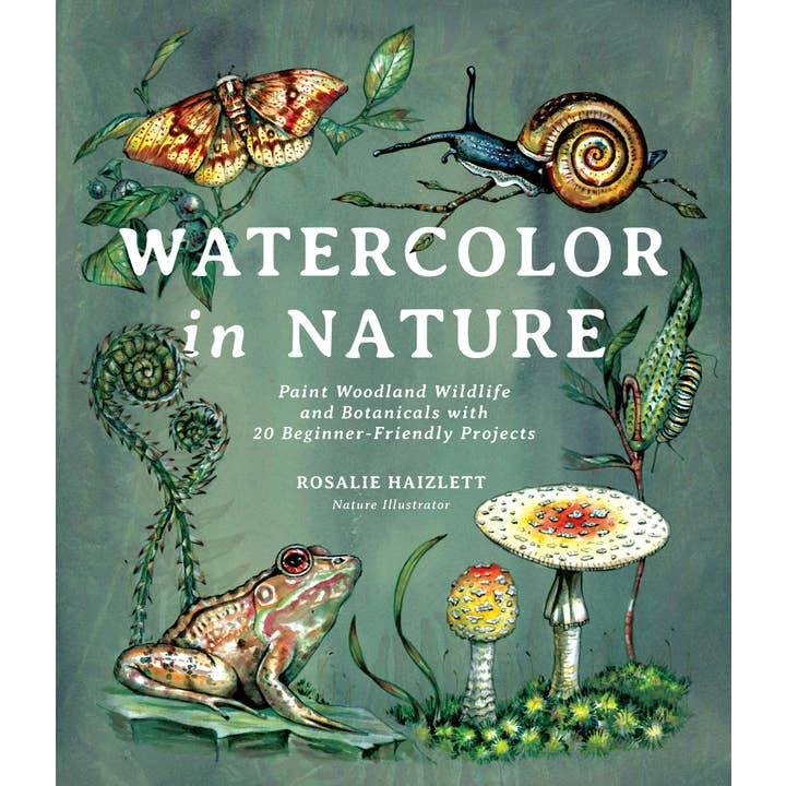 Macmillan Publishers - Wholesale Book - Adult - Watercolor In Nature: Woodland Wildlife & Botanicals