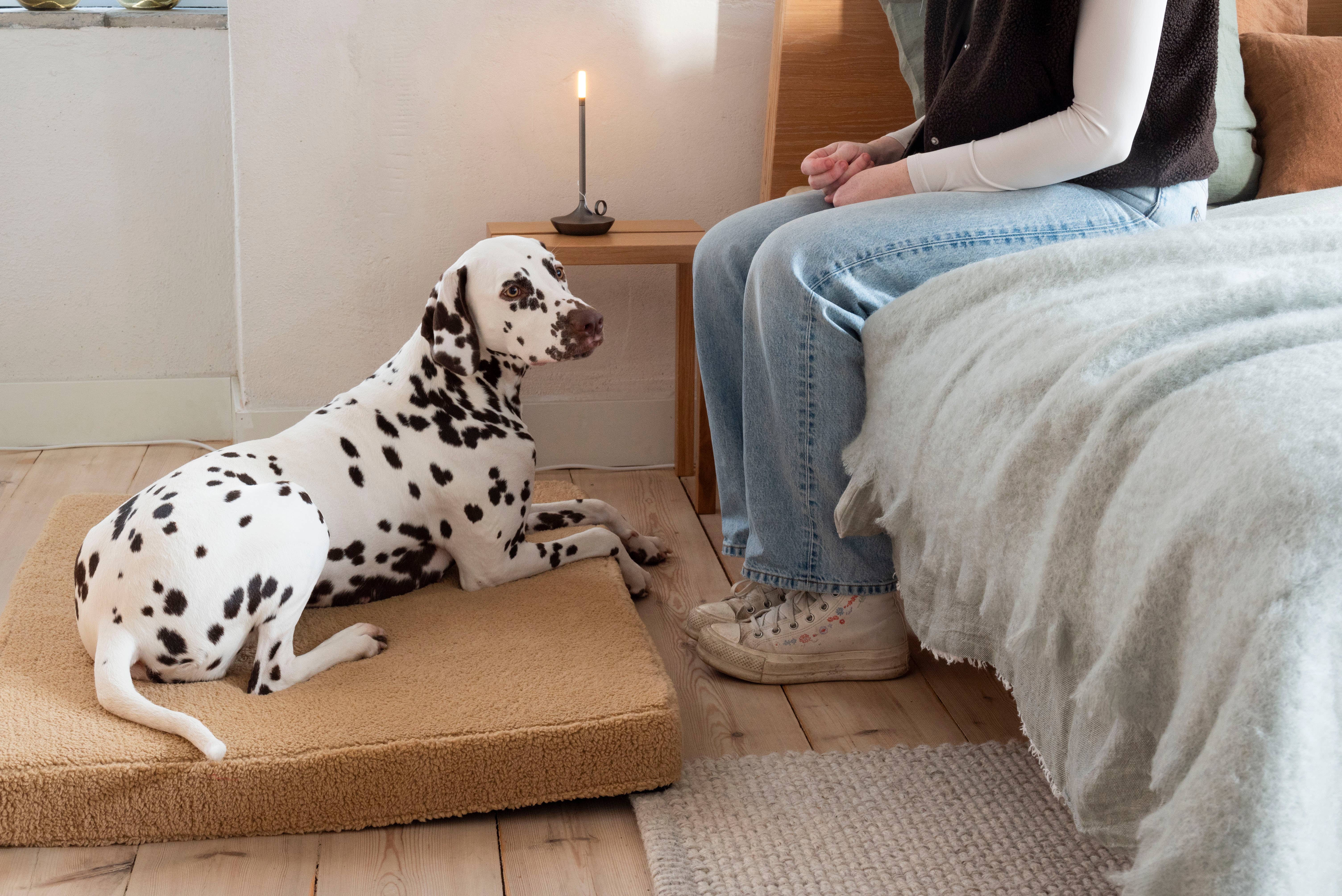 Trimmi - Wholesale Pet Bed - Dog - Orthopedic dog bed Teddy camel4