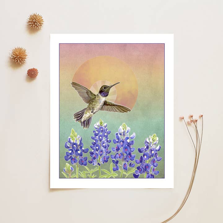 Hummingbird and Bluebonnets - 8x10 Archival Fine Art Print for wholesale by Amy Rose Moore Illustration