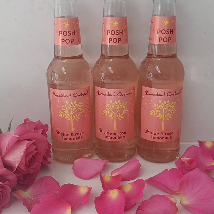 Breckland Orchard – wholesale Soda/carbonated drink – Sloe and Rose Posh Pop 12 x 275ml by Breckland Orchard4
