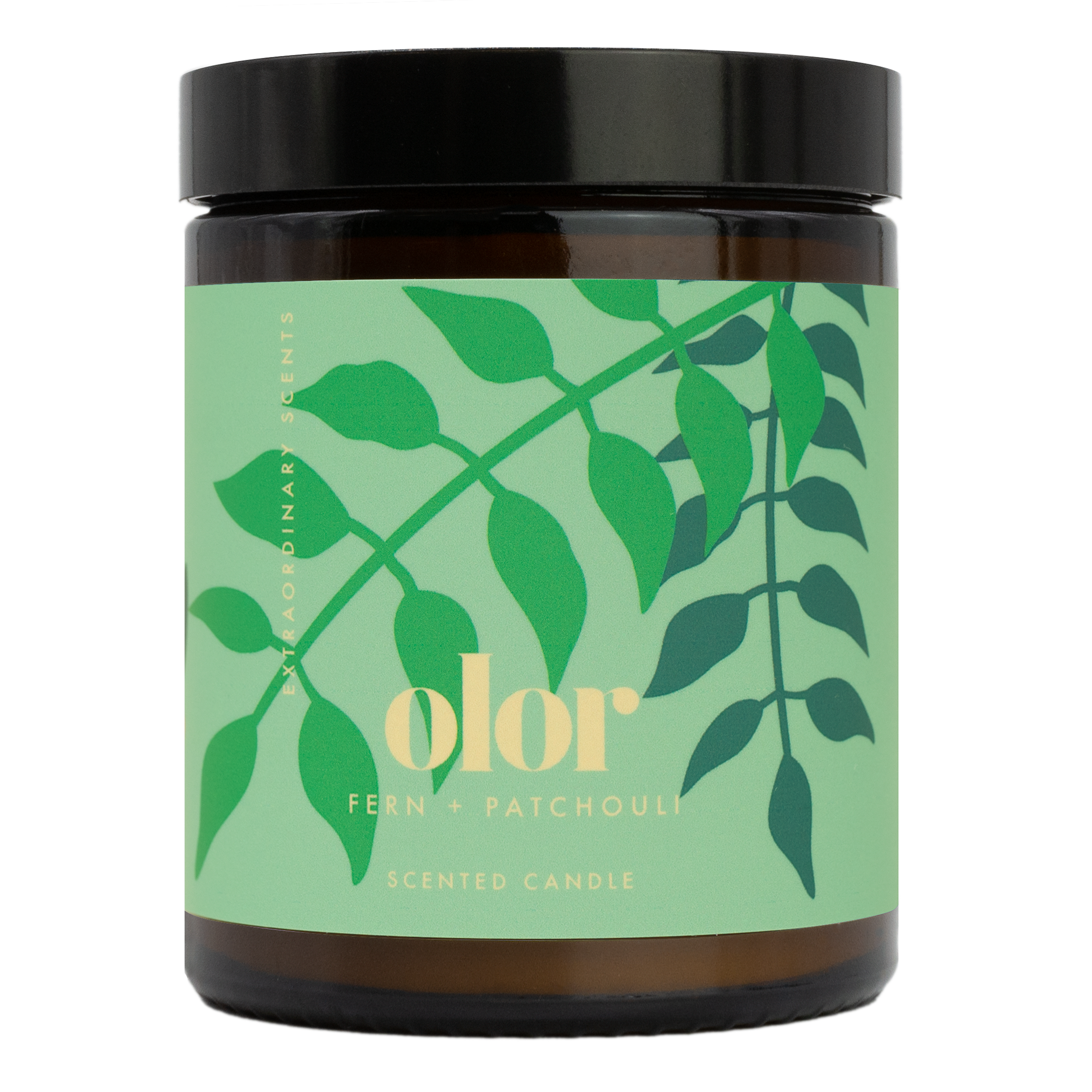 OLOR - Wholesale Jar/Filled Candle - Fern + Patchouli Jar Candle5