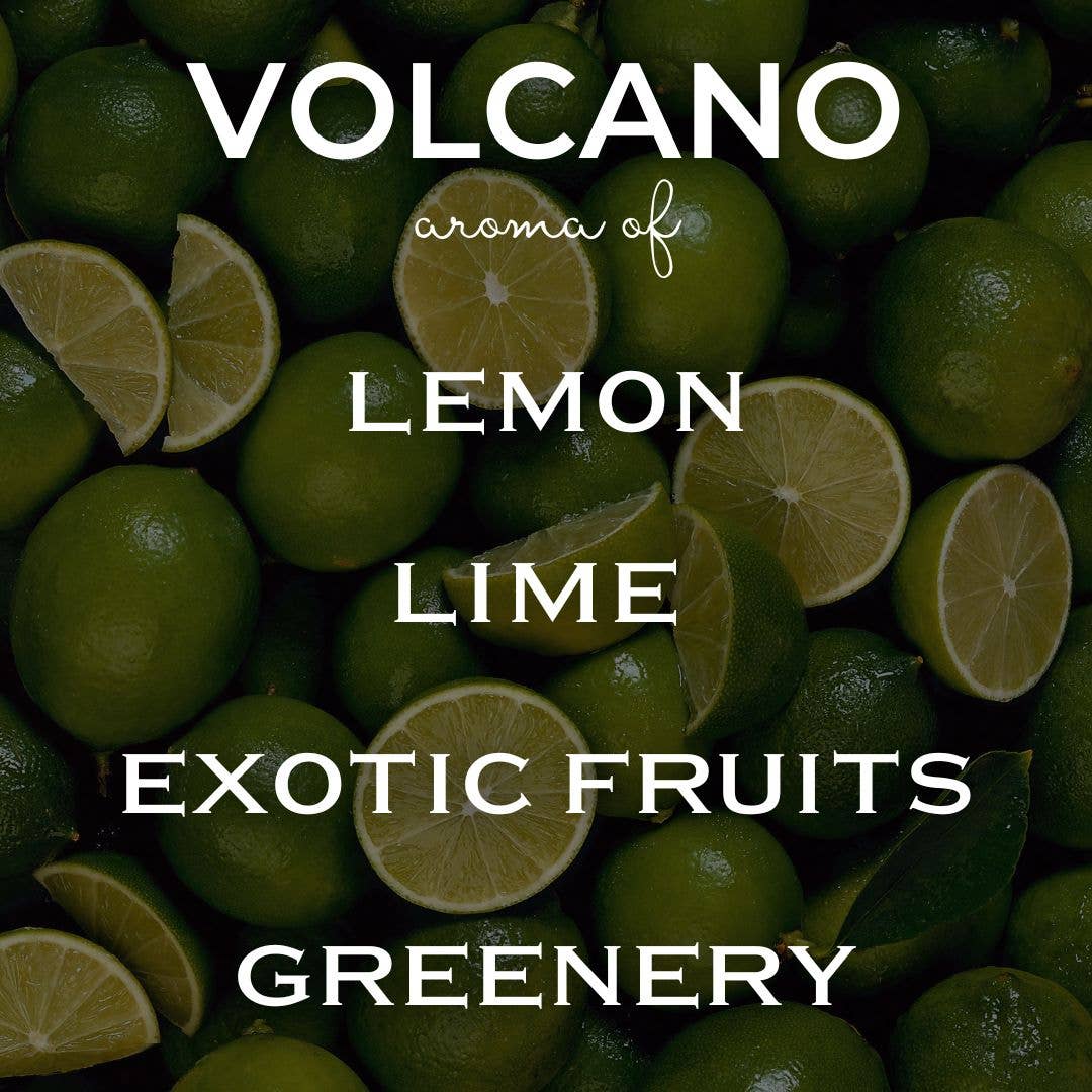 The Diya Co - Wholesale Jar/Filled Candle - 12 oz White Label Collection| Coconut-Soy Candles15