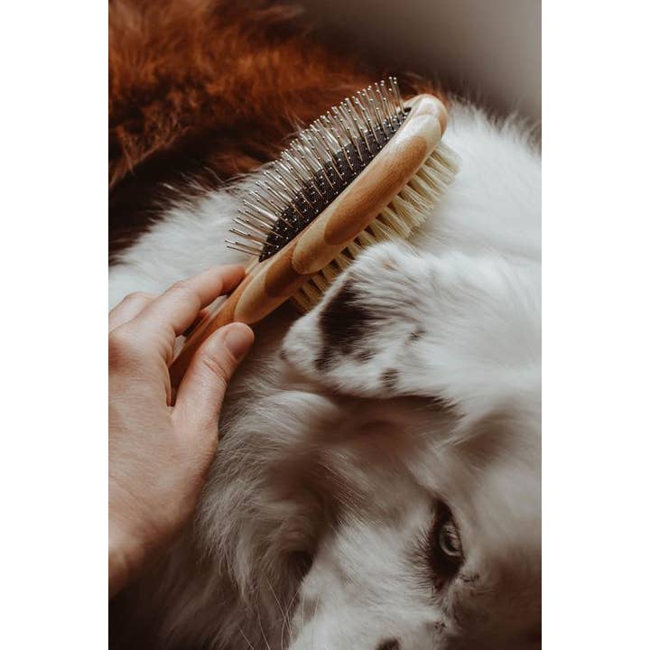 Zefiro - Wholesale Pet Brush - Cat/Dog - Dog Brush