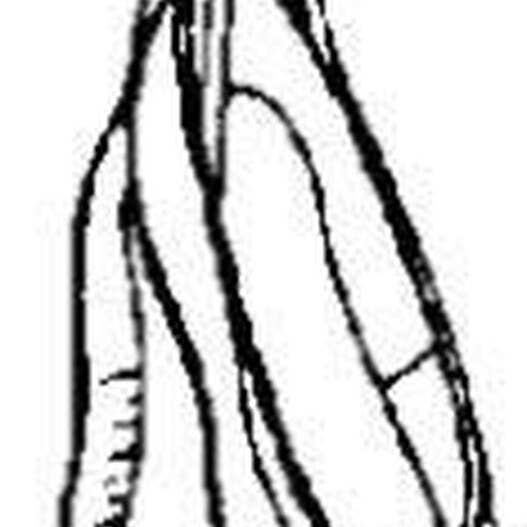 Ballettschuhe - Cling Mount für den Großhandel von Emerald Creek Craft Supplies