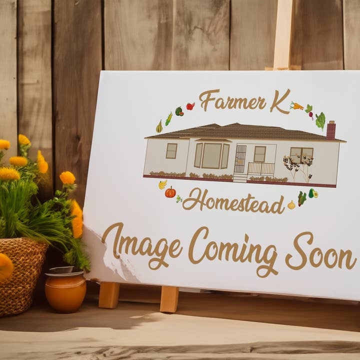 Mango- und Erdbeere-Mischobst-Medley gefriergetrocknete Snacks - 1,0 oz für den Großhandel von Farmer K Homestead