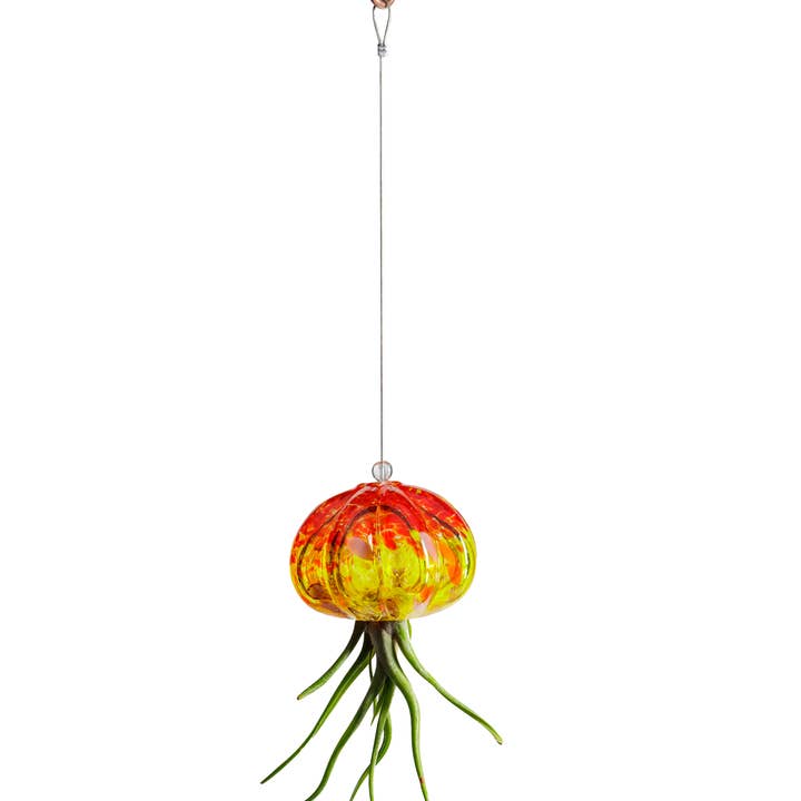 ApricotMint - Wholesale Hanging Planter - Cauliflower Jellyfish Air Plant Holder (plant not included)