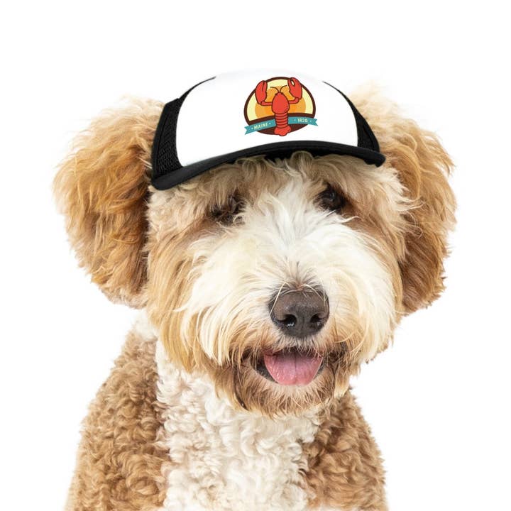 PupLid - Wholesale Pet Hat - Dog - Lobster Standard or Namedrop | Trucker Hat for Dogs22