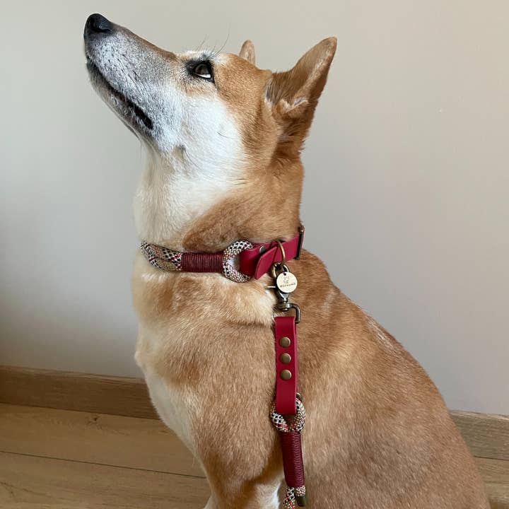 KITSUNE.DOG - Wholesale Pet Collar - Dog - Original red biothane dog collar and tartan paracord4