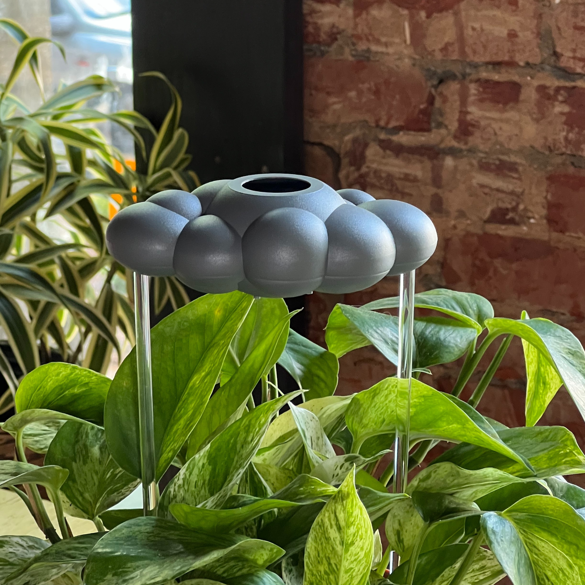 The Cloud Makers - Vendita all'ingrosso Annaffiatoi - Cloud di Pioggia Gocciolante Stormy5