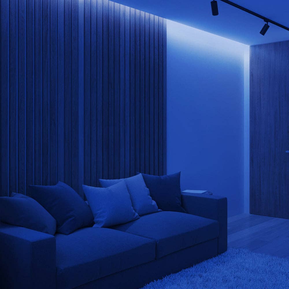 ENER-J – wholesale String lights – 5m Blue LED COB Strip 320L/M 24V with RF Dimmer & PSU6