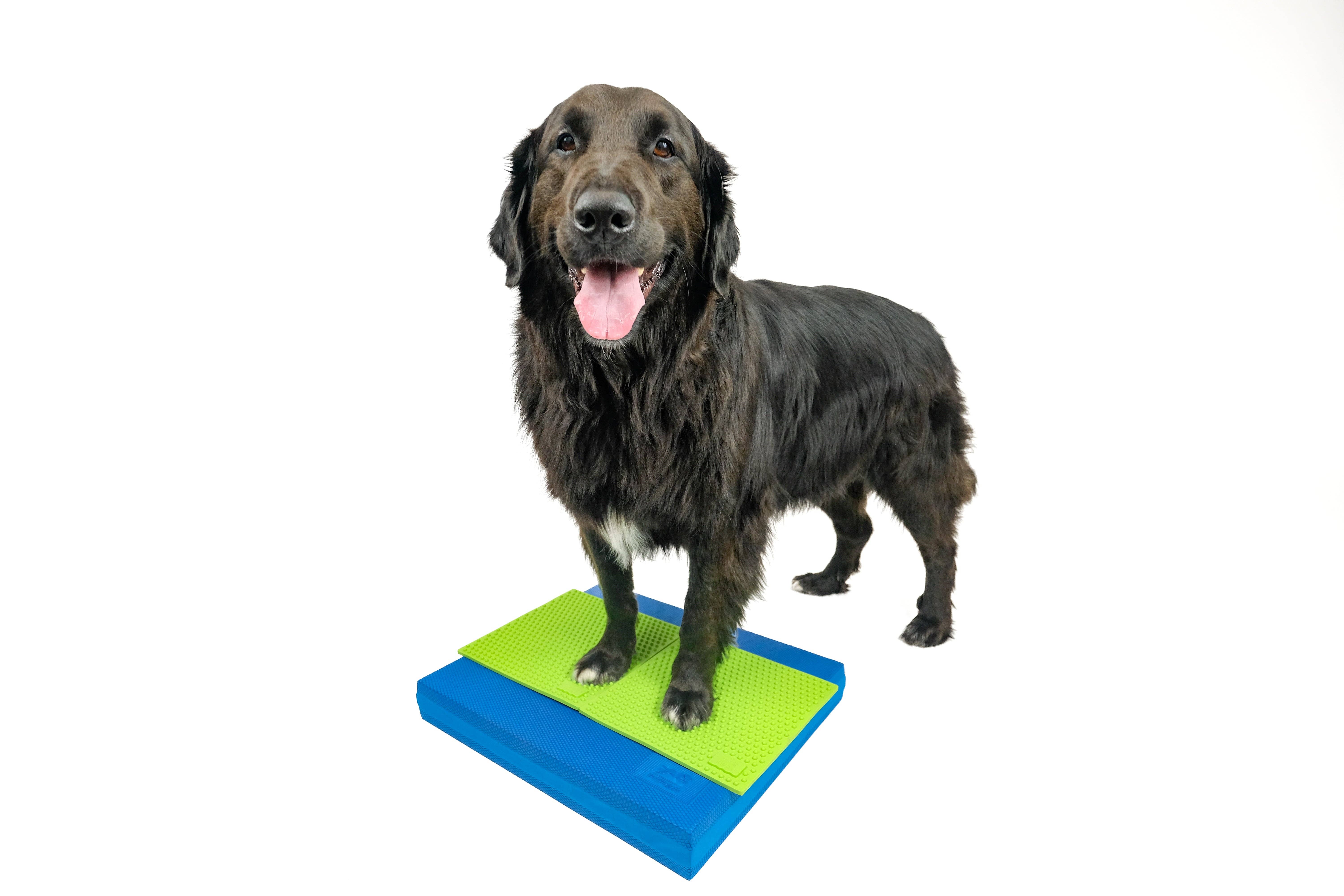 FitPAWS - Venta al por mayor Juguete - Perros - FitPAWS® Almohadilla de Equilibrio 15" x 18.25" x 2"4