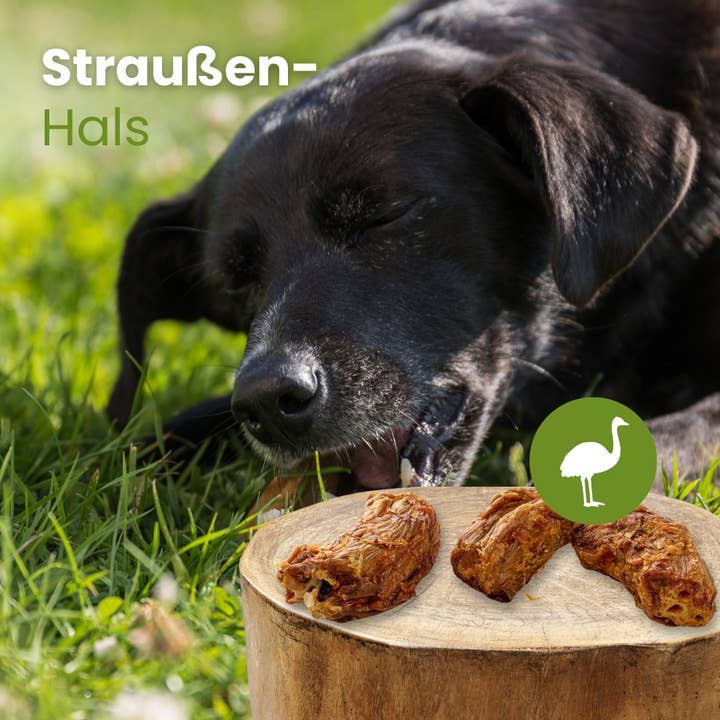 Kauartikel.com GmbH - Wholesale Pet Bone/Rawhide - Dog - ostrich neck1