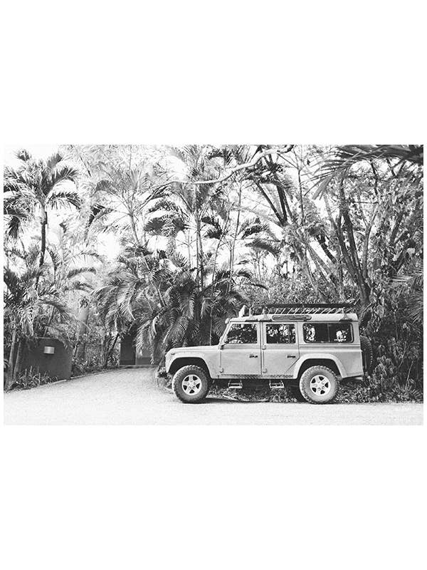 The Sunset Shop - Wholesale Art Print - Tropical Sleigh - Black & White1