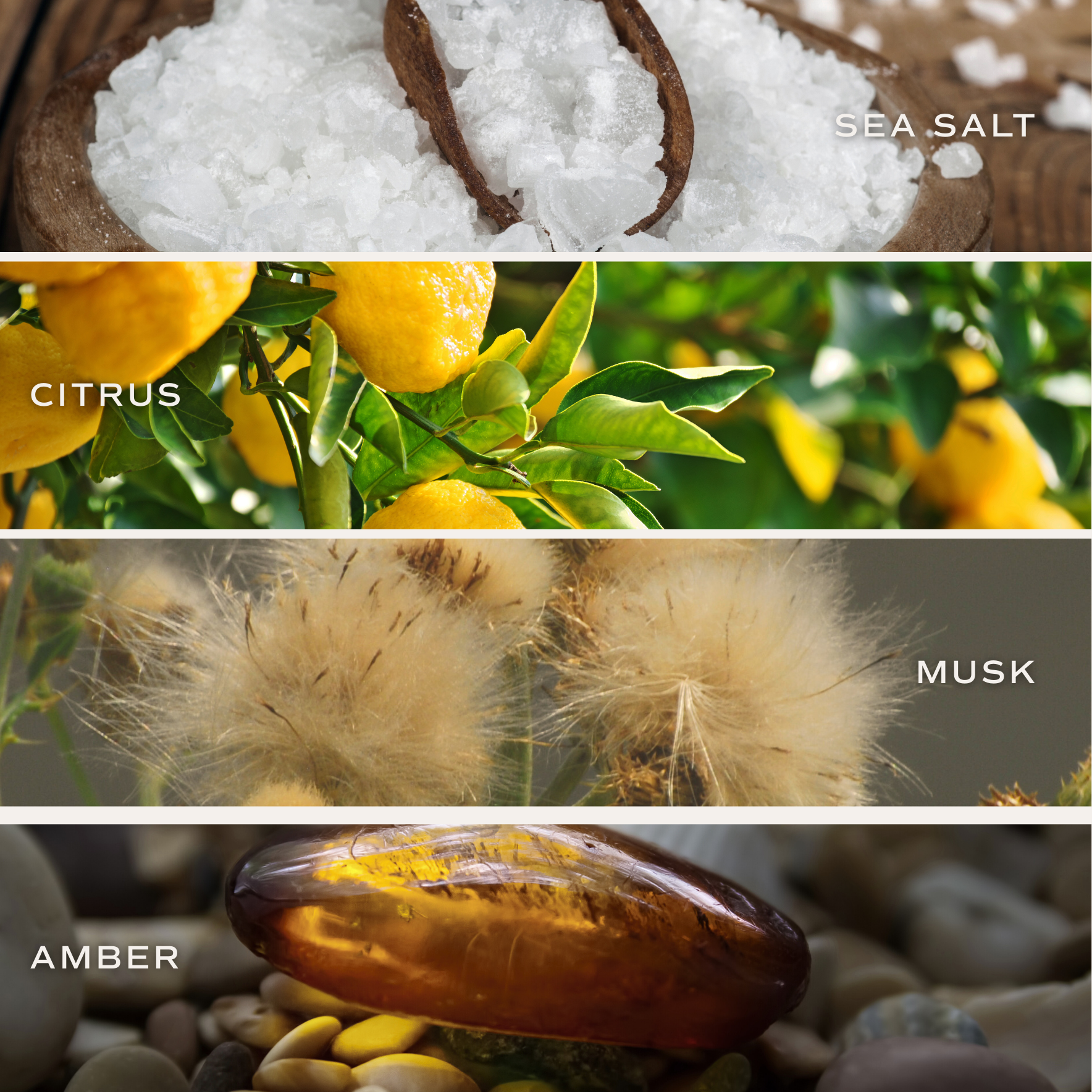 Sweet Water Decor - Vente Bougie en bocal - Bougie au soja Salt and Sea 11 oz - Décoration d'intérieur et cadeaux3