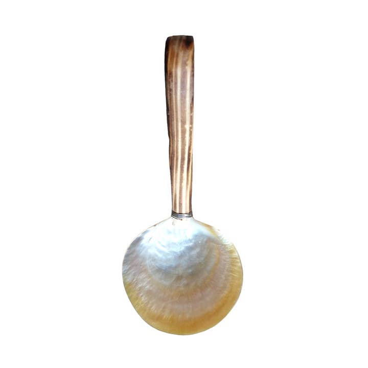 Mother of Pearl Serving Spoon for wholesale by The Artisan and Company