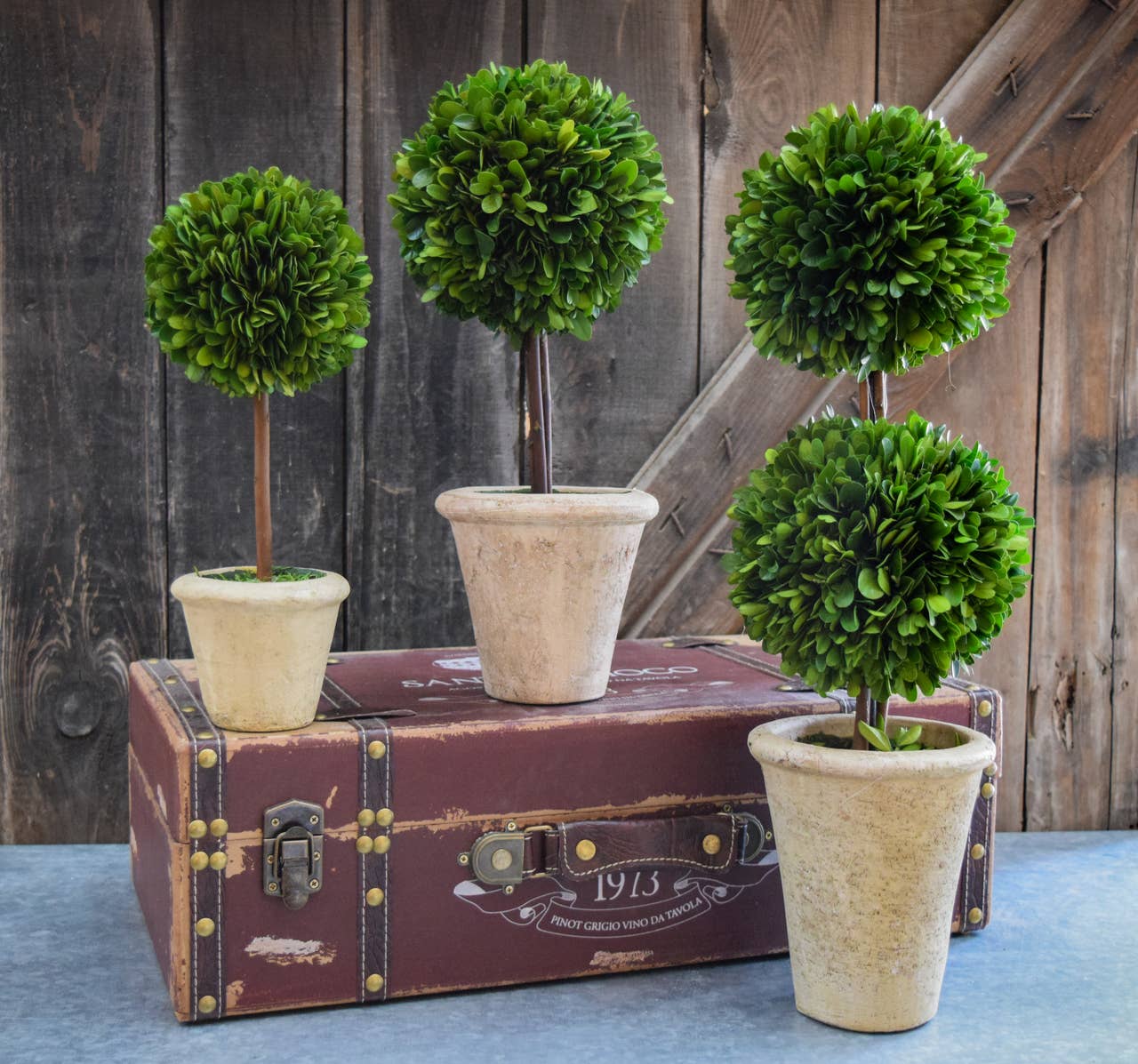 Mills Floral Company - Wholesale Artificial Plant - Preserved Boxwood Topiary - Double Ball - 20 Inch2