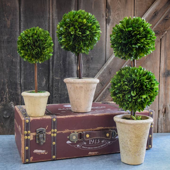 Mills Floral Company - Wholesale Artificial Plant - Preserved Boxwood Topiary - Double Ball - 20 Inch2