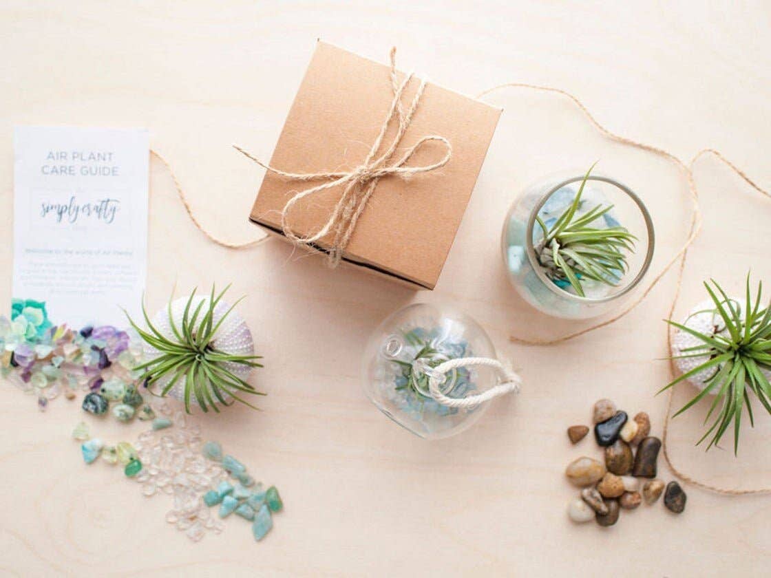 The Simply Crafty Shop - Wholesale Terrarium - Mini Orb Air Plant Terrarium Kit - Semi-Precious Stone43