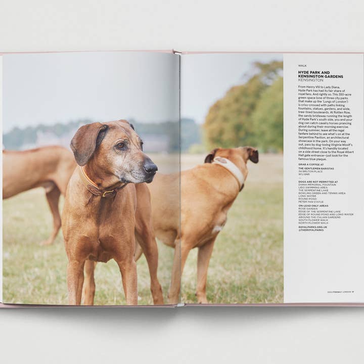 Hoxton Mini Press - Wholesale Pets - Dog-Friendly London6